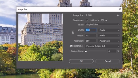 Photoshop: How to Transform Photos into the Look of Gorgeous, Pointillist Paintings.