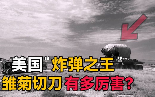 号称“炸弹之王”的雏菊切刀，究竟有多恐怖？威力堪比小型核弹？