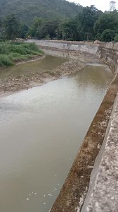 Irish Spring on Reels