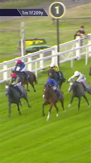 Ombudsman wins the Brigadier Gerard 🏆