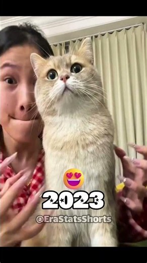Pets Then vs Now: Heartwarming Transformations... 🥺💔