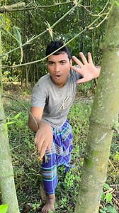 Elephant chase after eating fish eggs #camping #bushcraft #survival #facts #skills #lifehacks #outdoors #ideas | Sentopro