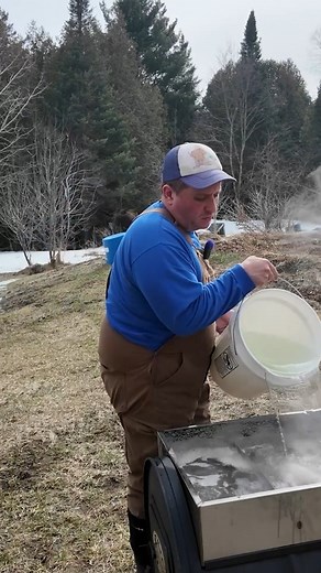 DIY Maple Syrup | Gold Shaw Farm