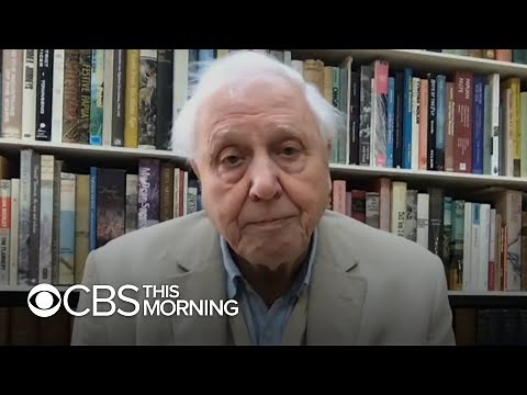 Sir David Attenborough's "The Year Earth Changed" explores nature's rebound amid COVID lockdowns