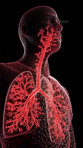 Why Do We Breathe? The Real Reason! #Oxygen #HumanBody #ScienceFacts #HinglishScience #Biology