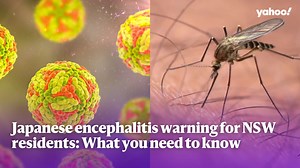 Japanese encephalitis warning for NSW residents: What you need to know