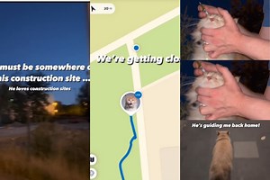 Watch: Human uses GPS to track cat to provide eye drops