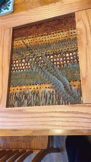 Feather Art Projects Using Pheasant Feathers