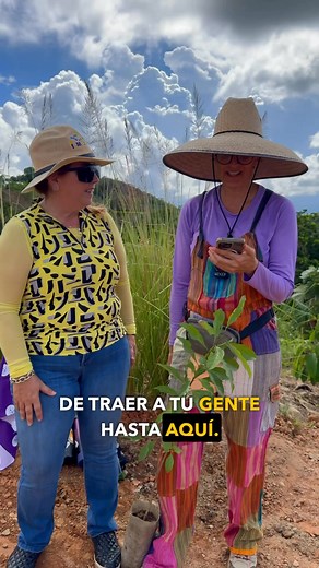 Acompáñanos a dar un recorrido por la Reserva de Cuentos Verdes en Utuado, donde estuvimos sembrando 25 árboles con alguno de los líderes y gerentes de Immuno Reference Lab en conmemoración a nuestros 25 años 🇵🇷 Cuentos Verdes | Immuno Reference Lab