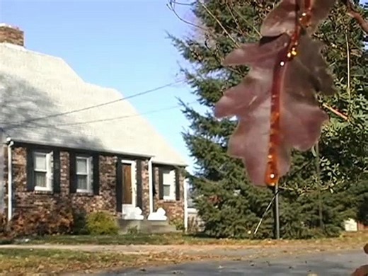 Cryptic Plasm | movie | 2015 | Official Trailer