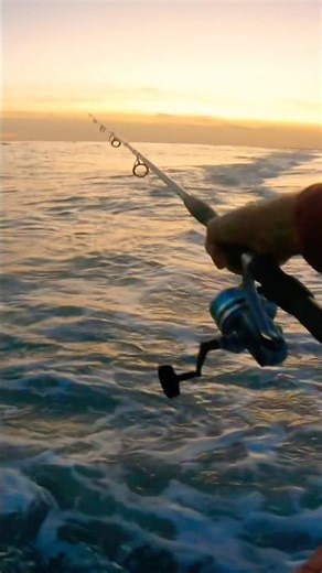 How to Cast & Catch Fish Easy #howtofishing #surfcasting #fishingshorts #fishingtutorial #howtofish