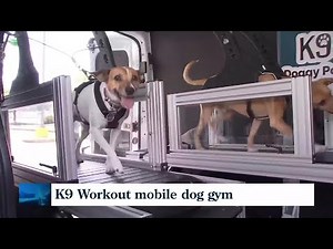 A mobile gym...for dogs!