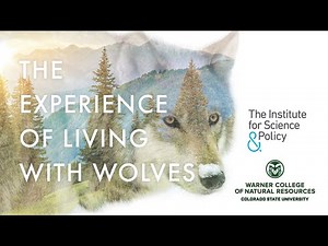 The Experience of Living With Wolves