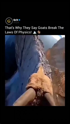 Grit on Instagram: "Goats don’t just climb mountains, they master near-vertical cliffs and razor-thin ledges where balance seems impossible. From natural rock faces to man-made walls, they move like gravity doesn’t exist. Their ability comes from split hooves with rubber-like grip, incredible balance, and sharp spatial awareness. Every step is calm, precise, and fearless. This mix of anatomy and instinct makes goats some of the best climbers in the animal kingdom, turning impossible surfaces int