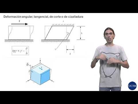 ERM: 3.1. Concepto de deformacion