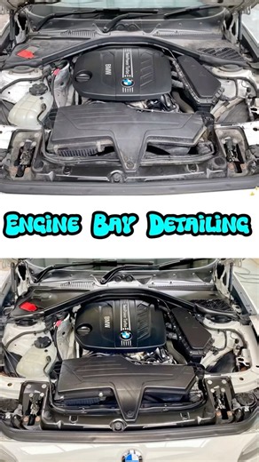 How To Detail An Engine Bay Like A Pro❗️ #cardetailing #shorts #foryou