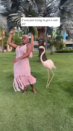 ALIEN REACTS to FLAMINGO ATTACKS LADY? BLOOOB #hilarious #funnyanimals #puppets #viralvideo