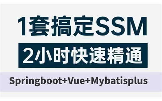 2025吃透SSM项目实战完整版全集（SpringBoot Vue Mybat ES6前后端分离项目）spring