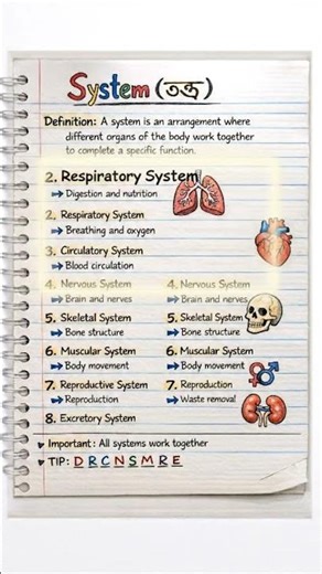 SYSTEM ||HUMAN BODY || HAND NOTE || #humanbody #anatomy #biology