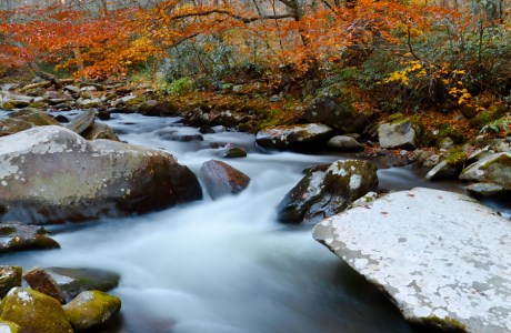 大烟山国家公园攻略【2025】Great Smoky Mountains National Park - 美国旅游指南