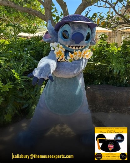 One of the most magical parts of staying at Disney’s Aulani Resort? Meeting your favorite Disney characters—island style! 🌴✨ From Mickey and Minnie in their Hawaiian best to Stitch spreading aloha (and mischief!), every moment is pure joy. 🌺 Ready to make these memories for yourself? Let’s plan your Aulani adventure today! 🏖 Email me Csalisbury@themouseexperts.com #DisneyAulani #AulaniResort #DisneyVacation #DisneyTravelPlanner #BookWithMe #SalisburyMouseExpert #disneyaulanihawaii #characters