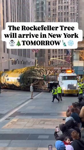 🎄The Rockefeller Center Christmas Tree is coming to NYC on November 8th! 🗽That’s right — the most famous Christmas Tree in the world will be lifted into place right in the heart of Manhattan 🎅Tree Arrival Ceremony — NOV 8 🎄Tree arrives around 7AM a Hoisted into place around 10AM 🎅Family fun all morning — free Santa meet, FAO Schwarz Holiday Workshop & more! do Tree Lighting Ceremony — DEC 3 ☃️It’s beautiful but wild! Crowds start early, and by lunchtime the streets are packed. If you dream 