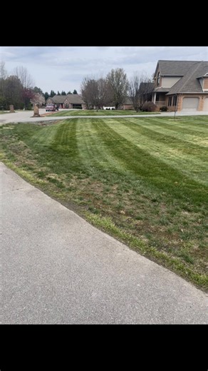 Yard I maintain Maryville tn