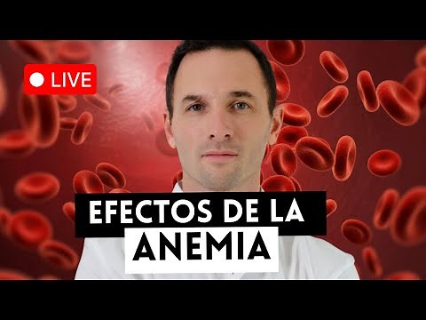 🟢LIVE: La anemia y sus causas, los análisis que necesitas y los tratamientos que funcionan