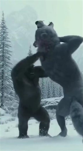 "Gorilla vs. Gray Wolf: Epic Battle of Nature!" #Gorilla #GrayWolf #Wildlife #funny #shorts
