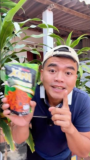 How to eat snacks properly