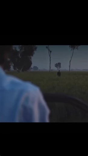 talha yunus 💀 #talhahyunus #dhh #youngstunners #talhaanjum #music