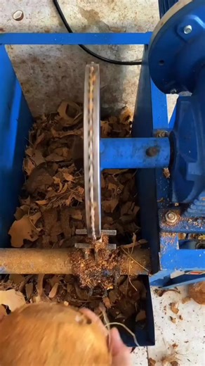 Life Lessons on Motivation and Personal Growth