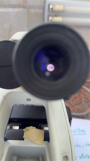 Understanding Key Microbial Species