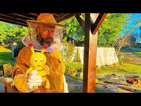 THEY GAVE US FREE BEES | Our First Swarm on the Homestead