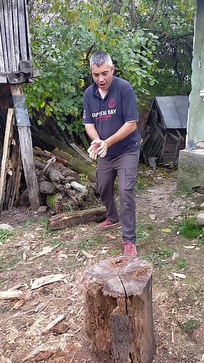 Petrescu Adrian pe TikTok