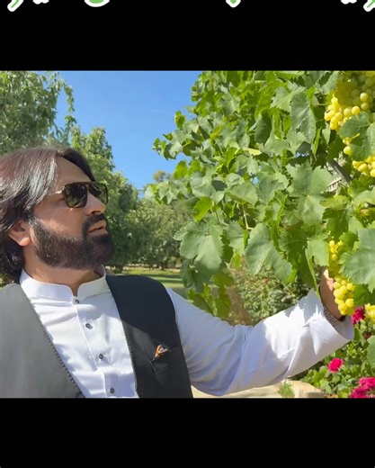 Exploring Gardens in Australia
