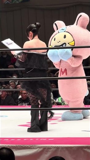 Minimo-chan will be making her debut at the Ryogoku Kokugikan event on March 29th, and will be sh...