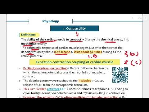 Cardiac Properties: Contractility