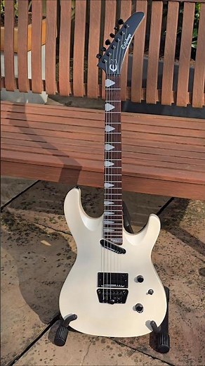 Epiphone Pro