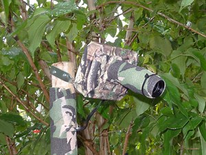 Raspberry Pi Wildlife Camera Captures Beautiful Photos #raspberrypi #piday @Raspberry_Pi