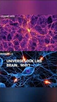 The Universe Looks Like a Brain… Why?