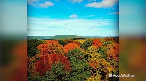 Why do leaves change colors in the fall?