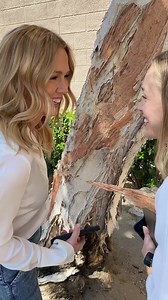DIY Paper Tree Craft for Earth Day Celebration
