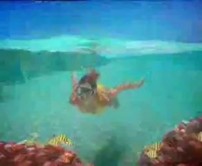 Australia - TV commercial