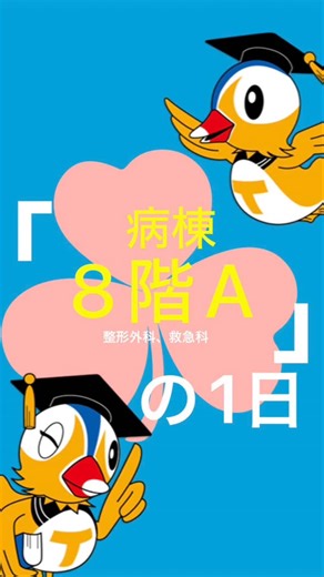 鳥取大学医学部附属病院看護部 on Instagram: "臨地実習検討委員会⭐️ 各病棟の1日の流れを紹介する『病棟の1日シリーズ』‼️ 今回は、病棟8階Aです。 病棟8階Aは整形外科、救急科の病床がある病棟です。 手術目的で入院される方が多く、患者さんの年齢層も様々な年代の方が入院されます。 手術後はリハビリセラピストと連携しリハビリを進めていき、患者さんとリハビリの成果を一緒に喜び合うことができるやり甲斐のある病棟です。 そんな病棟の1日をご覧ください🦴✨ #鳥取大学医学部附属病院 #鳥大看護部 #臨地実習検討委員会 #臨地実習指導者 #整形外科"