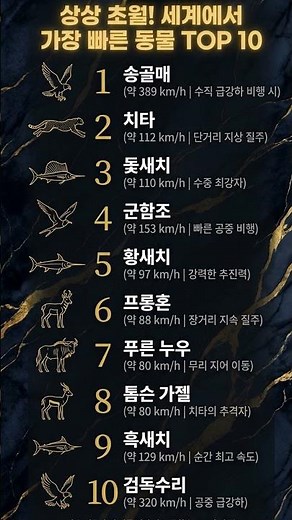 상상 초월! 세계에서 가장 빠른 동물 TOP 10