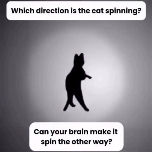 Make Sense of Reality on Instagram: "In today’s EYE AM segment, we’re looking at an optical illusion based on an ambiguous silhouette. There are no clear spatial cues for the brain to latch onto, so it has to interpret the cat’s movement on its own. That’s why some people see it spinning to the right, while others see it spinning to the left. Can you make it spin the other way? Your brain actually gets to decide! 🐈"