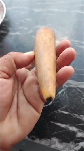 Once Ivory Wood Smoking Pipe