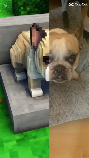 Minecraft???? #subscribe #bulldog #subscribe 🦫