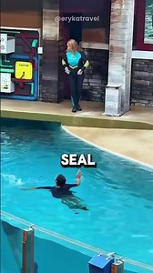 Seal Saved Her Life! 🦭❣️